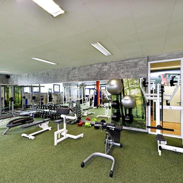 Fitnessstudio mit verschiedenen Geräten, Hanteln und Fitnessbällen auf grünem Bodenbelag und großen Spiegeln.
