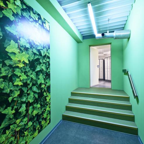 Grüne Treppe in einem Flur mit einer Wand aus Efeu und einer Tür am Ende, die zu einem hellen Raum führt.