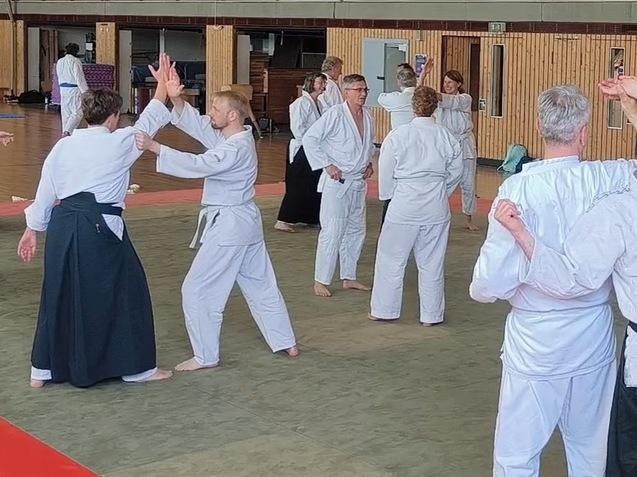 Gruppentraining im Aikido: &Uuml;bende in wei&szlig;en und schwarzen Gi praktizieren Techniken auf einer tatami-bedeckten Fl&auml;che.