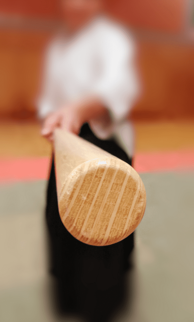 Nahaufnahme eines Holzschwertes, gehalten von einer Person in martialischer Kleidung, mit unscharfem Hintergrund.