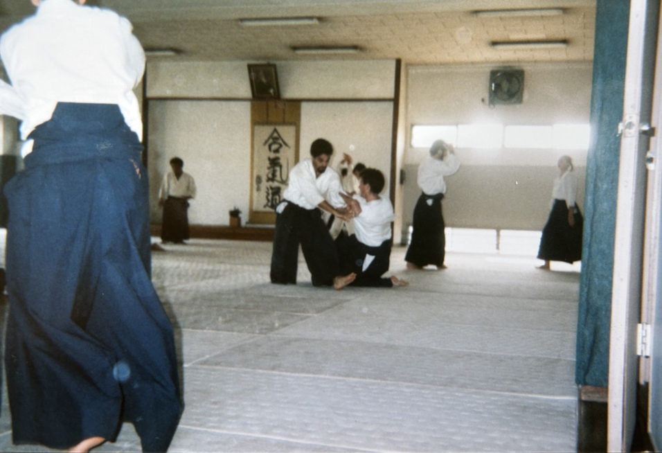 Zwei Personen &uuml;ben Aikido auf einer Tatami, umgeben von weiteren K&auml;mpfern in einem Dojo.