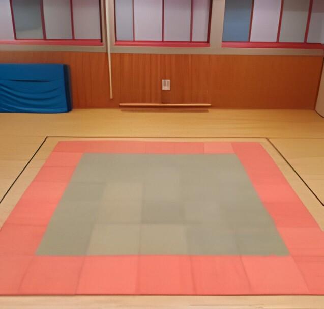 Blick auf einen Mattenbereich in einem Dojo mit einer grauen Fl&auml;che umrandet von roten Matten.