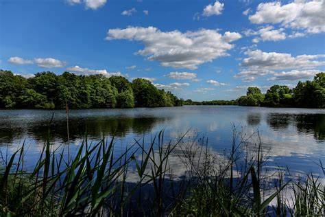 Ruhiger See mit klarem Wasser, umgeben von &uuml;ppigem Gr&uuml;n und blauem Himmel mit wei&szlig;en Wolken.
