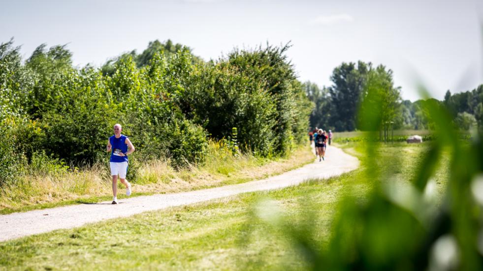 L&auml;uferin in blauer Sportbekleidung joggt auf einem unbefestigten Weg, umgeben von B&uuml;schen und einer gr&uuml;nen Landschaft.