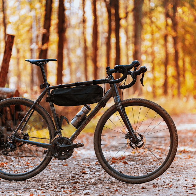 Schwarzes Gravelbike mit Gepäckträger steht auf einem Waldweg, umgeben von herbstlich gefärbten Bäumen.