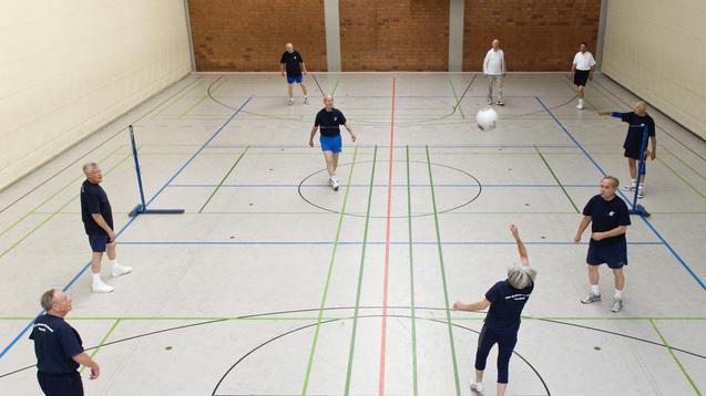 Sechs Personen spielen Volleyball in einer Sporthalle mit markierten Linien auf dem Boden.