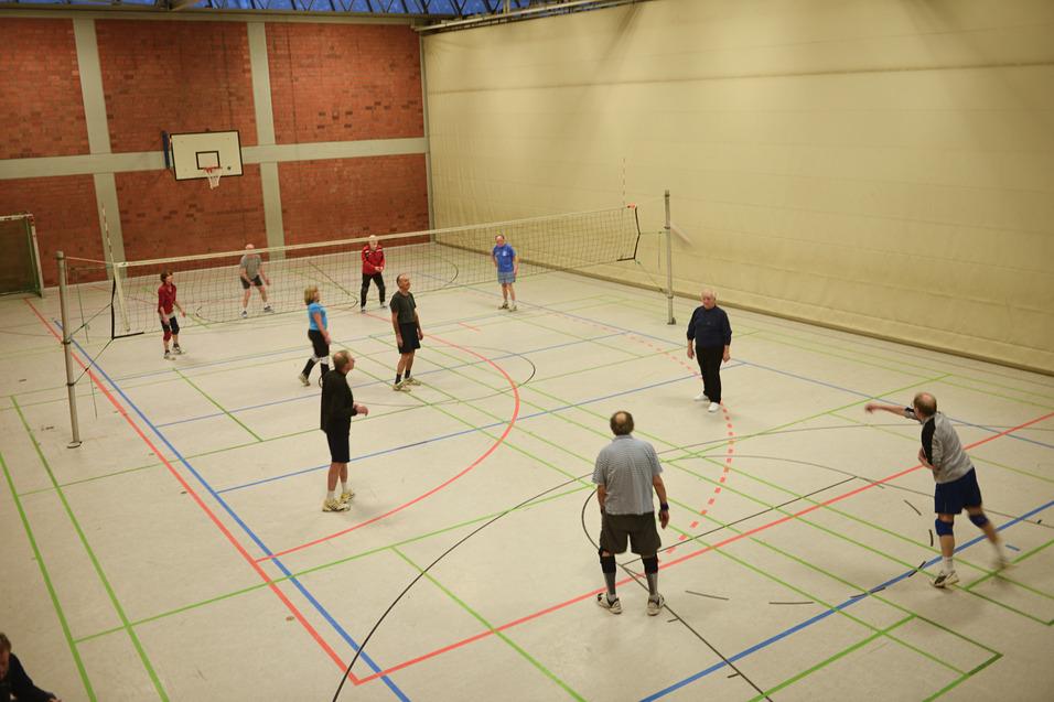 Gruppe von Spielern beim Volleyballspiel in einer Sporthalle mit Netzen und bunten Linien auf dem Boden.