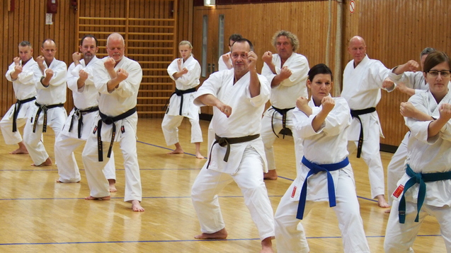 Gruppenaufnahme von Karatekas in wei&szlig;em Gi, die synchron eine Technik in einem Sporthalle ausf&uuml;hren.