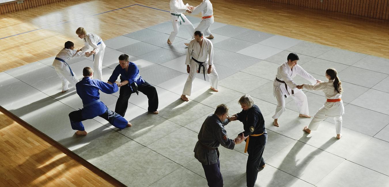 Verschiedene Kampfsportler trainieren auf einer Tatami in einer Sporthalle, einige in weißen, andere in blauen Anzügen.