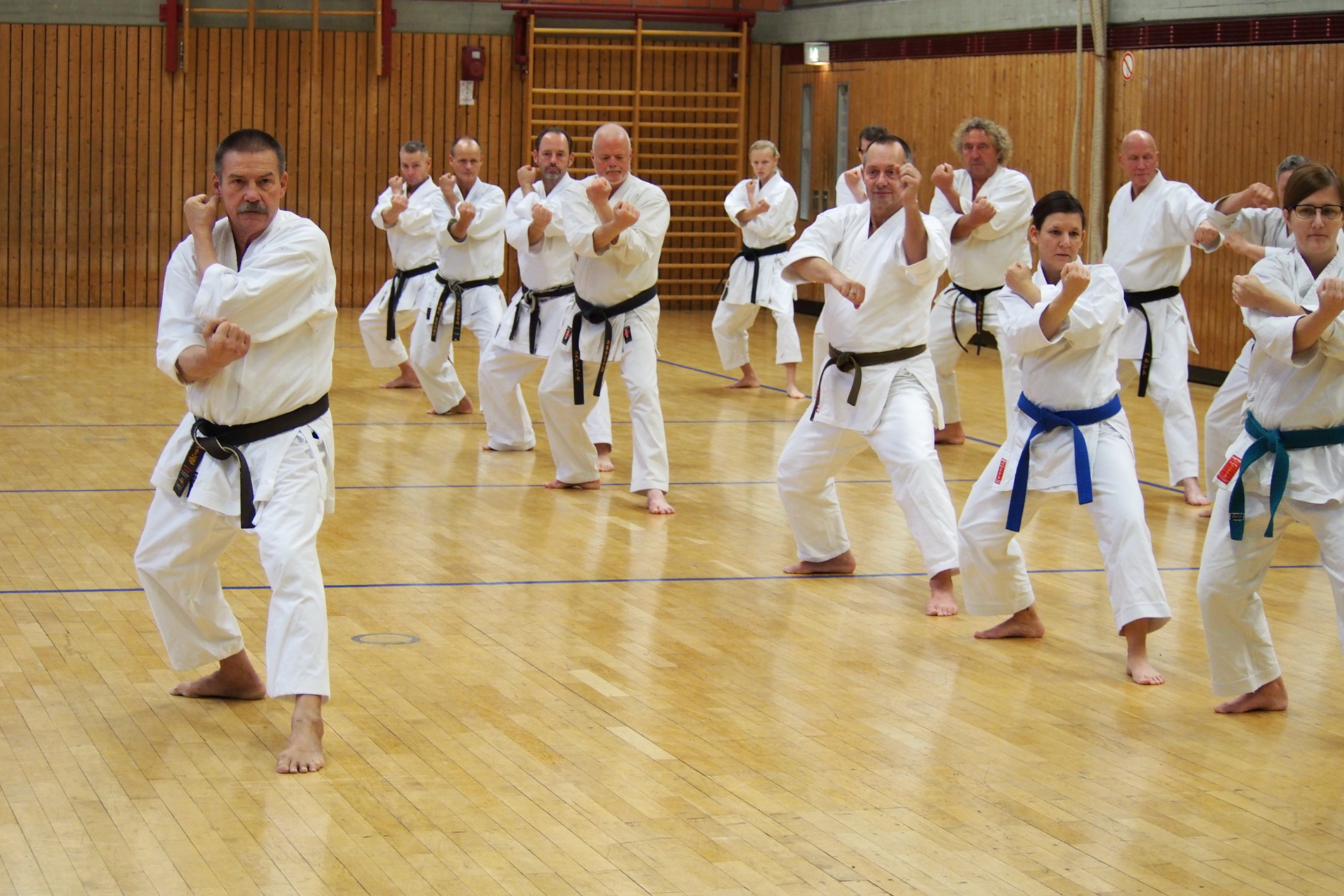 Gruppenaufnahme von Karatekas in wei&szlig;em Gi, die synchron eine Technik in einem Sporthalle ausf&uuml;hren.