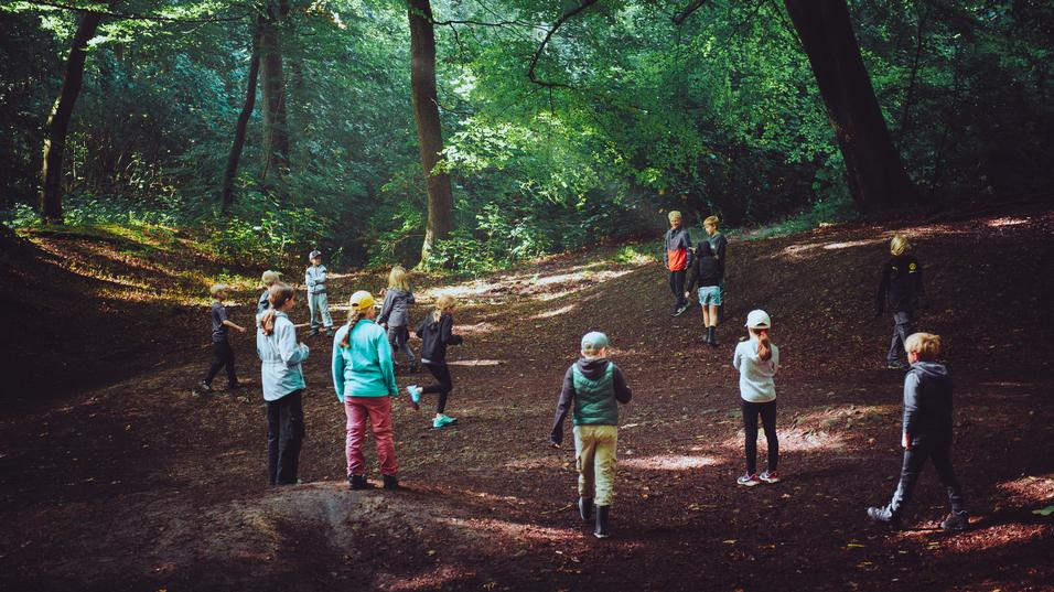 Gruppenspielende Kinder in einem schattigen Wald, umgeben von Grün und Lichtspielen zwischen den Bäumen.