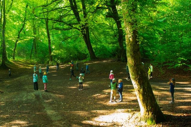 Gruppe von Personen in einem lichten Wald, umgeben von gr&uuml;nen B&auml;umen und Lichtspielen auf dem Boden.