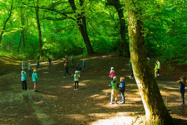 Gruppe von Personen in einem lichten Wald, umgeben von gr&uuml;nen B&auml;umen und Lichtspielen auf dem Boden.
