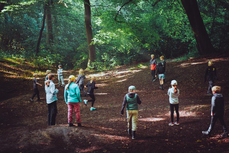 Gruppenspielende Kinder in einem schattigen Wald, umgeben von Gr&uuml;n und Lichtspielen zwischen den B&auml;umen.