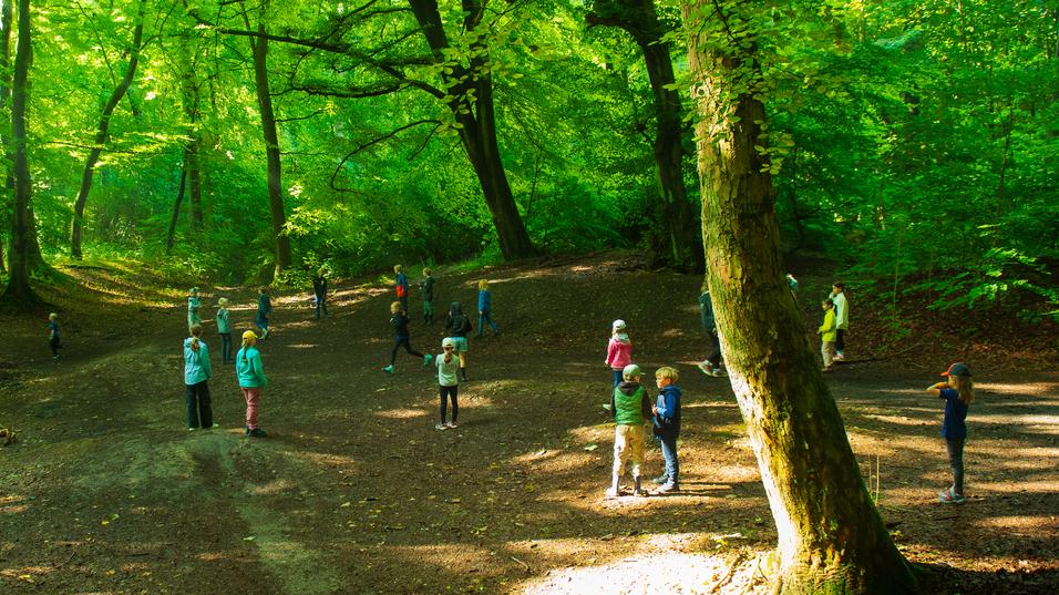 Gruppe von Personen in einem lichten Wald, umgeben von grünen Bäumen und Lichtspielen auf dem Boden.