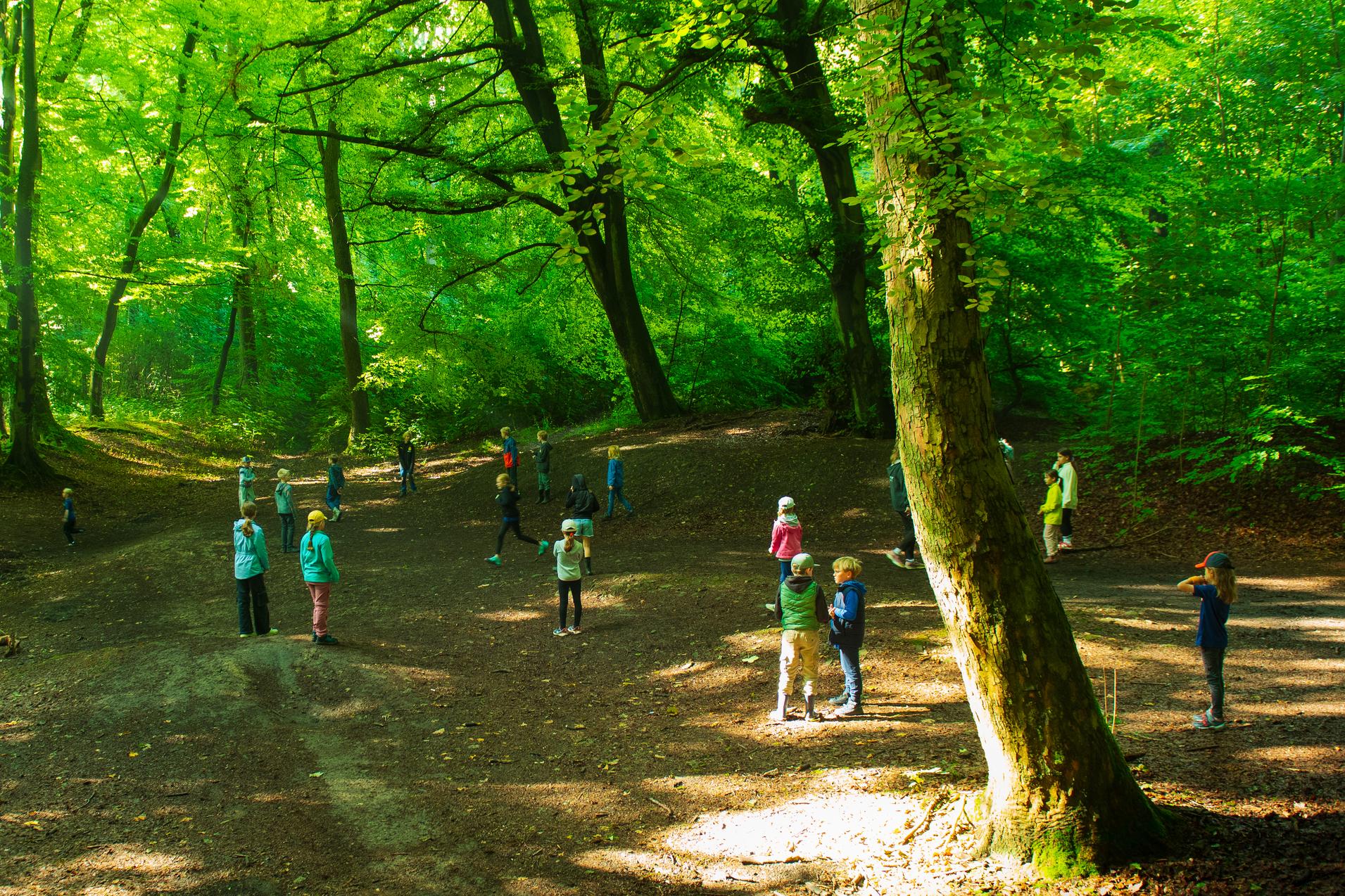 Gruppe von Personen in einem lichten Wald, umgeben von grünen Bäumen und Lichtspielen auf dem Boden.
