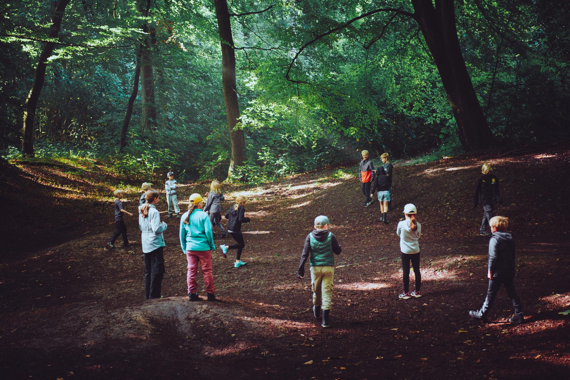 Gruppenspielende Kinder in einem schattigen Wald, umgeben von Grün und Lichtspielen zwischen den Bäumen.