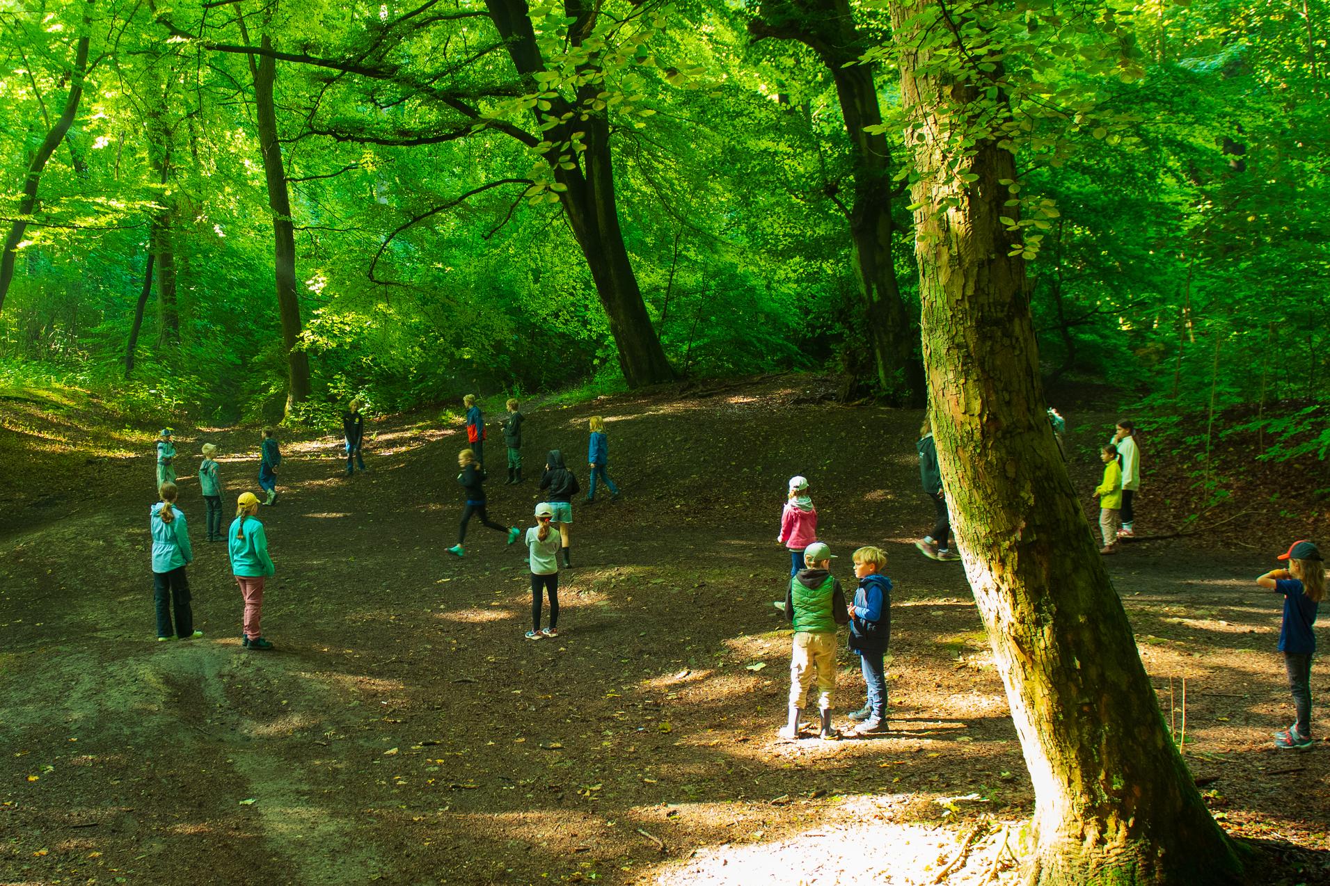 Gruppe von Personen in einem lichten Wald, umgeben von gr&uuml;nen B&auml;umen und Lichtspielen auf dem Boden.