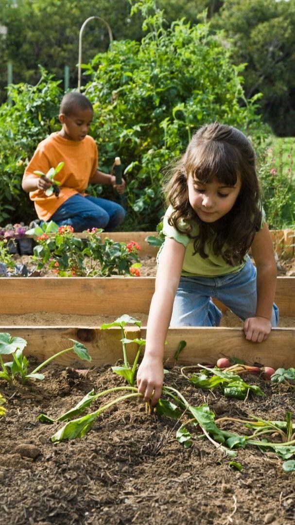 Zwei Kinder arbeiten im Garten; ein M&auml;dchen pflanzt Gem&uuml;sepflanzen, w&auml;hrend ein Junge im Hintergrund Blumen pflegt.