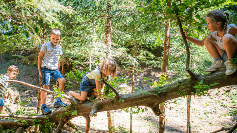 Vier Kinder klettern auf einem Baumstamm im Wald und spielen zwischen den gr&uuml;nen Bl&auml;ttern.