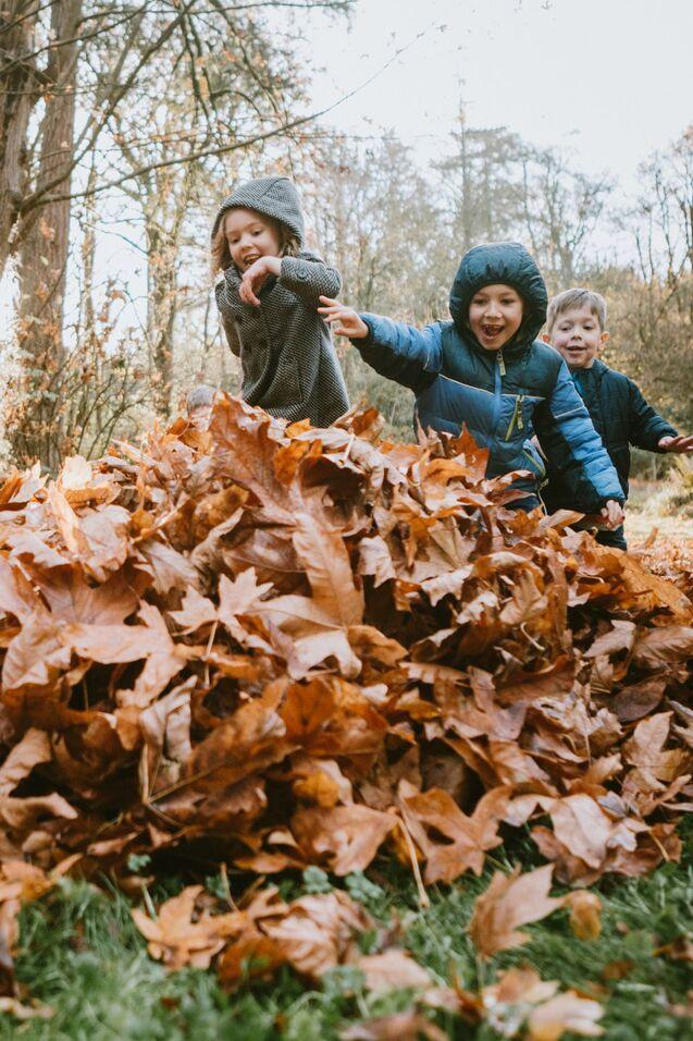 Drei Kinder spielen fröhlich in einem großen Laubhaufen im Wald an einem herbstlichen Tag.