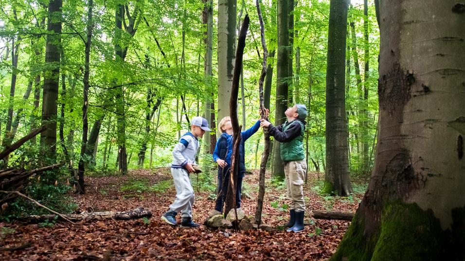 Drei Kinder spielen im Wald und stemmen einen langen Ast zwischen sich, umgeben von grünen Bäumen und Laub.