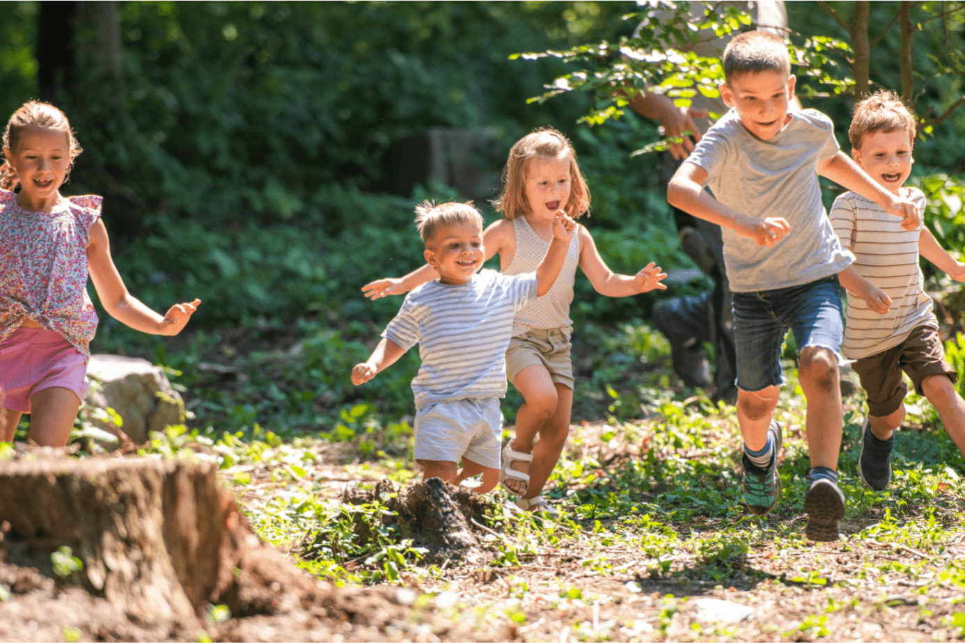 Fünf Kinder rennen fröhlich durch einen sonnendurchfluteten Wald.