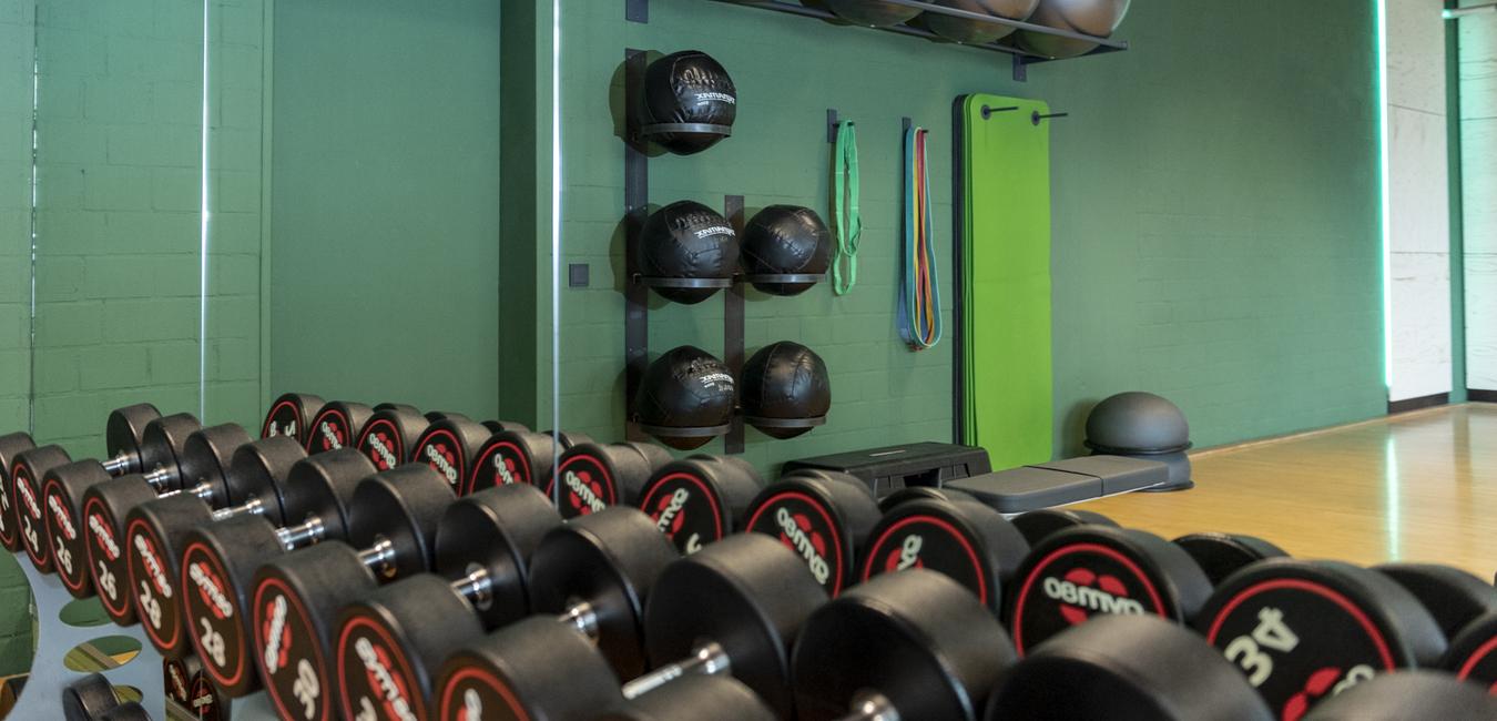 Fitnessraum mit einer Reihe von Kurzhanteln und verschiedenen Gymnastikbällen an einer grünen Wand.