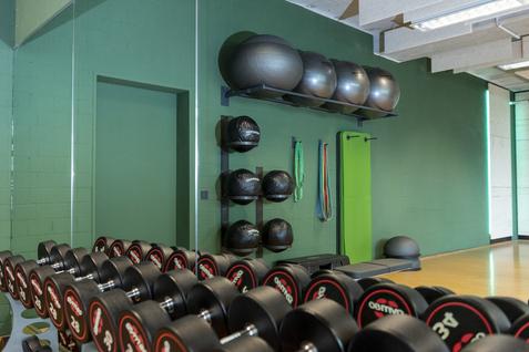 Fitnessraum mit einer Reihe von Kurzhanteln und verschiedenen Gymnastikbällen an einer grünen Wand.