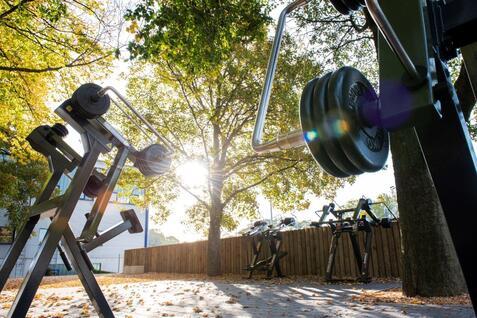 Fitnessger&auml;te im Freien vor einem gro&szlig;en Baum, mit Sonnenstrahlen, die zwischen den &Auml;sten scheinen.