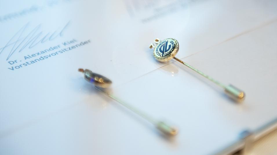 Zwei Anstecknadeln mit emblemmäßigen Motiven liegen auf einem Dokument.