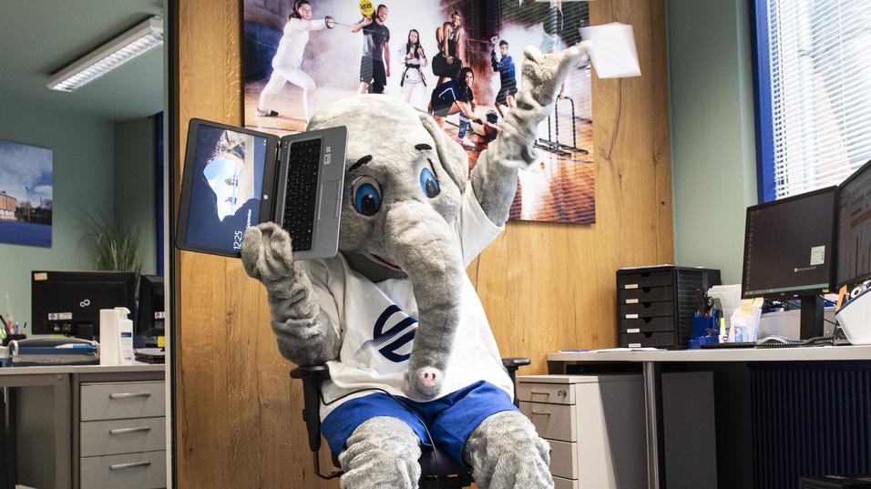 Elefant-Maskottchen in Büroumgebung, hält einen Laptop, Papierflieger fliegen zur Seite.