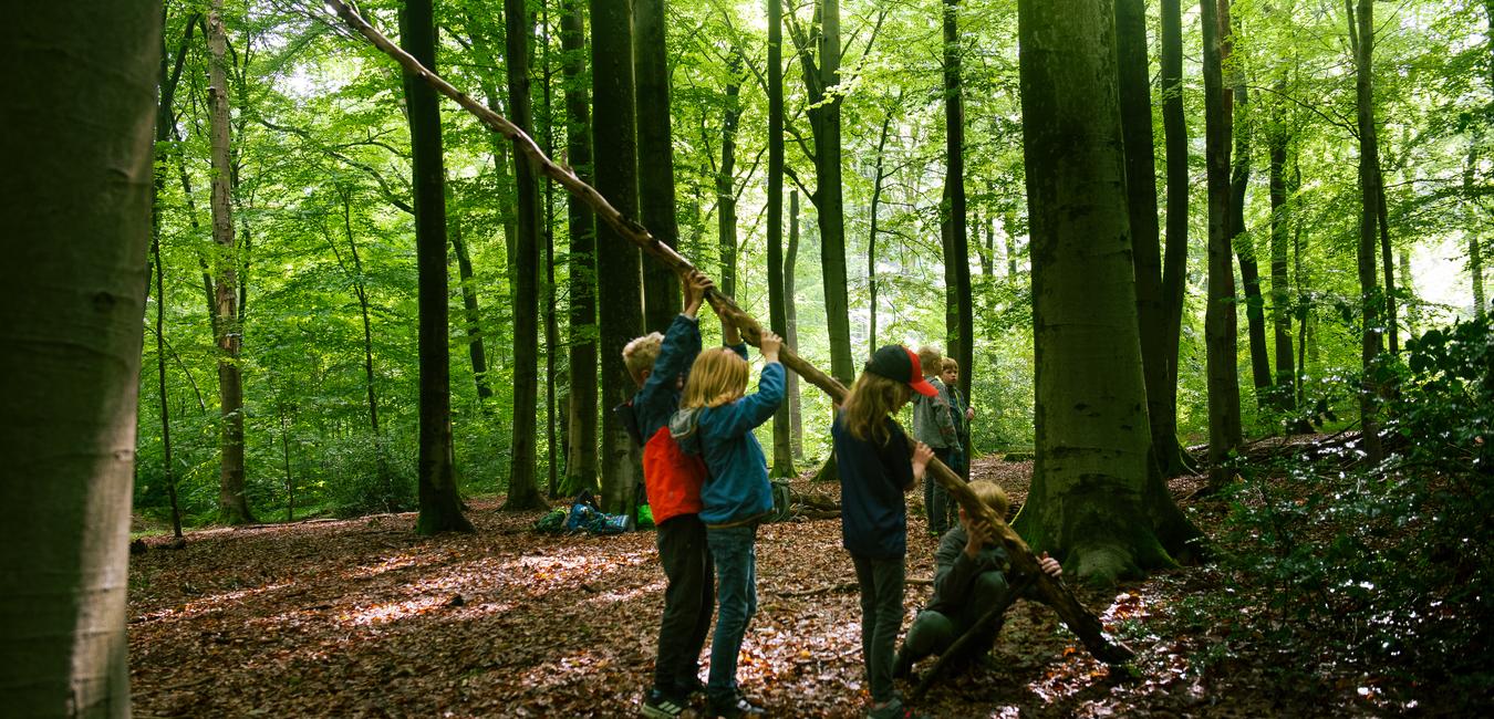Vier Kinder spielen im Wald mit einem langen Stock zwischen Bäumen auf einem mit Laub bedeckten Boden.