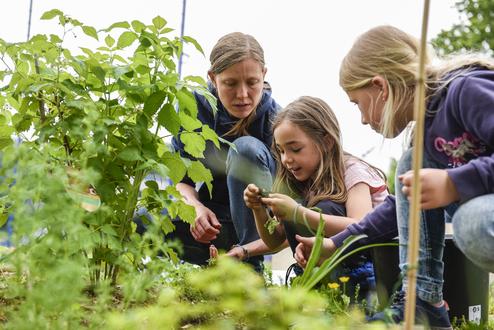 Übungsleiterin mit Kindern im Garten Übungsleiterin mit Kindern im Garten