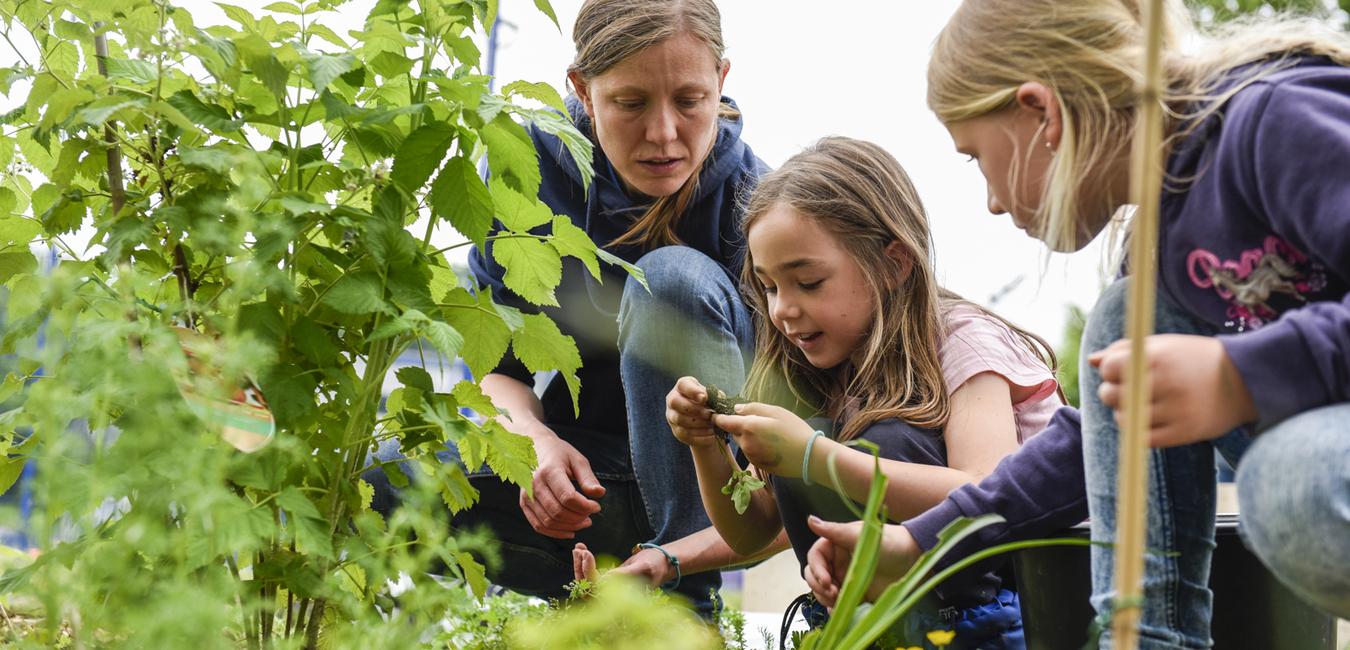 Übungsleiterin mit Kindern im Garten Übungsleiterin mit Kindern im Garten