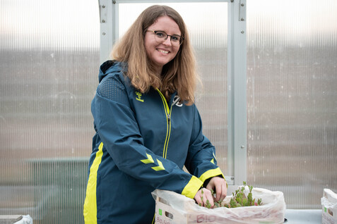 Eine Person mit Brille in blauer Jacke arbeitet in einem Gew&auml;chshaus mit Pflanzen in einer Plastikt&uuml;te.