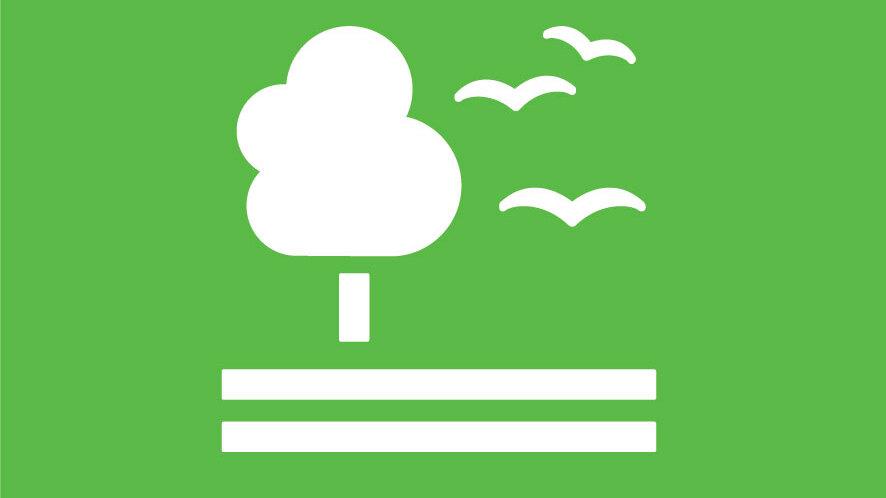 Symbol f&uuml;r &bdquo;Leben an Land&ldquo;: Ein Baum mit fliegenden V&ouml;geln auf gr&uuml;nem Hintergrund, mit horizontalen Linien unterhalb.